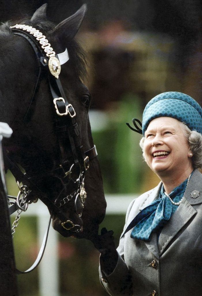 Queen Elizabeth, champion horse breeder